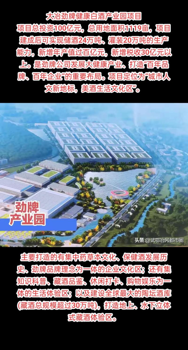 医疗投资管理行业的风云变幻